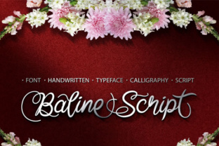 Baline Script: A Spontaneous Font for Authentic Branding