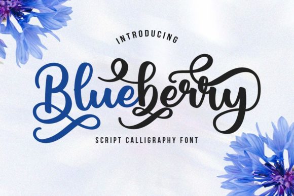 Blueberry Script: A Charming Font for Elegant Design