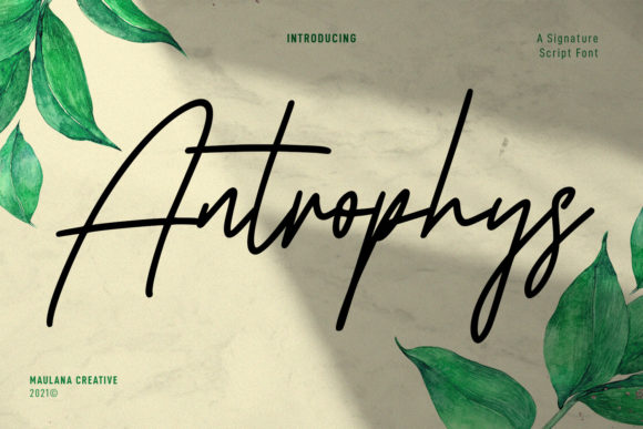 Discover the Casual Charm of Antrophys Script Font