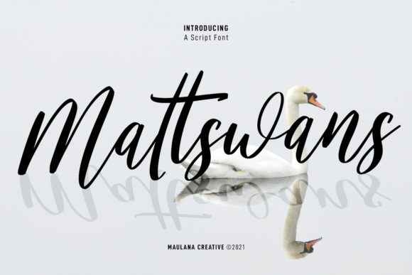 Mattswans Script: A Flowing Font for Elegant Design