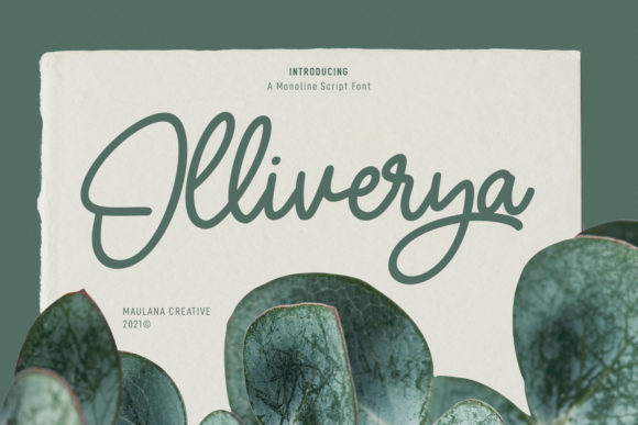 Olliverya Script: An Elegant Touch for Modern Design