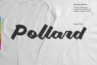 Pollard Script: Bold Charm for Modern Brands