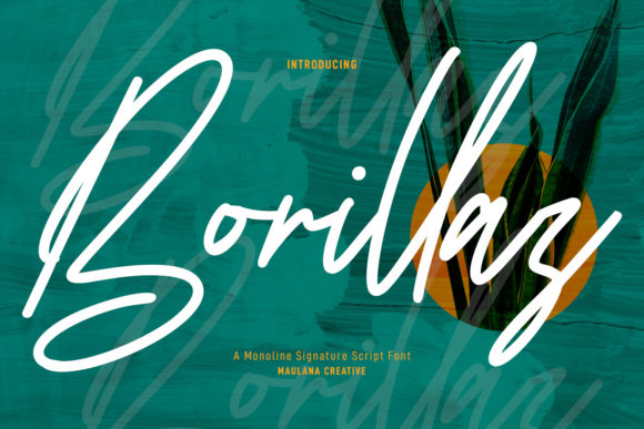 The Relaxed Elegance of Borillaz Script for Your Projects