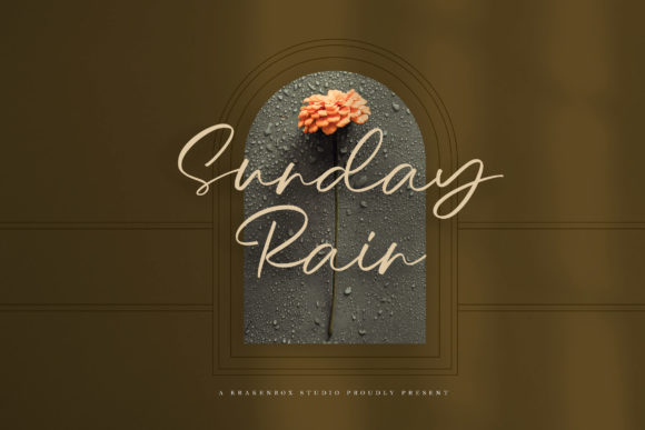 Understanding the Sunday Rain - Script Typeface